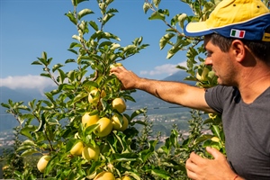 Melinda, ricavi e liquidato in crescita